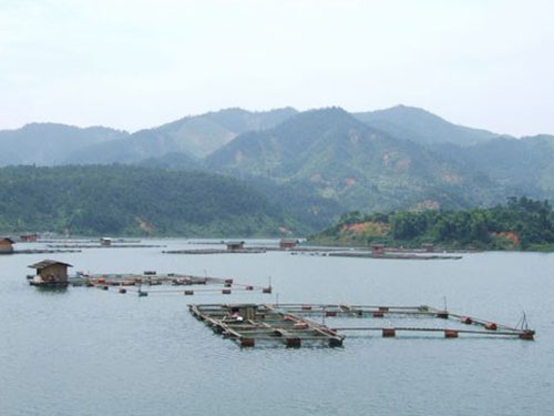 東江湖水產(chǎn)養殖基地 東江湖水產(chǎn)養殖基地