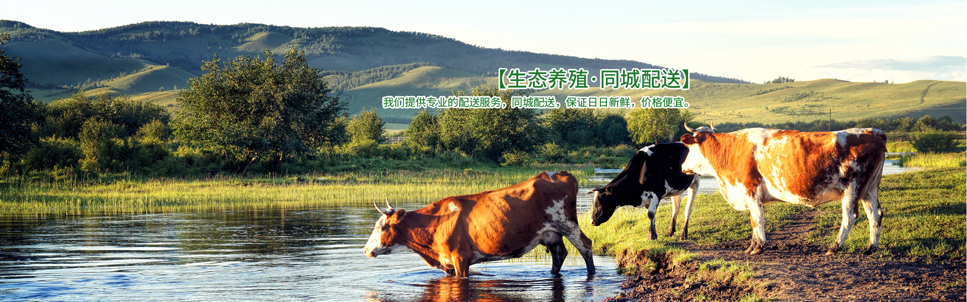 郴州市同輝農業(yè)有限公司_蔬菜配送公司|郴州食材配送|郴州蔬菜配送|食堂配送